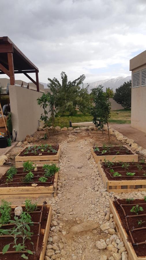 Cannery In The Desert Apartman Be'er Ora Kültér fotó